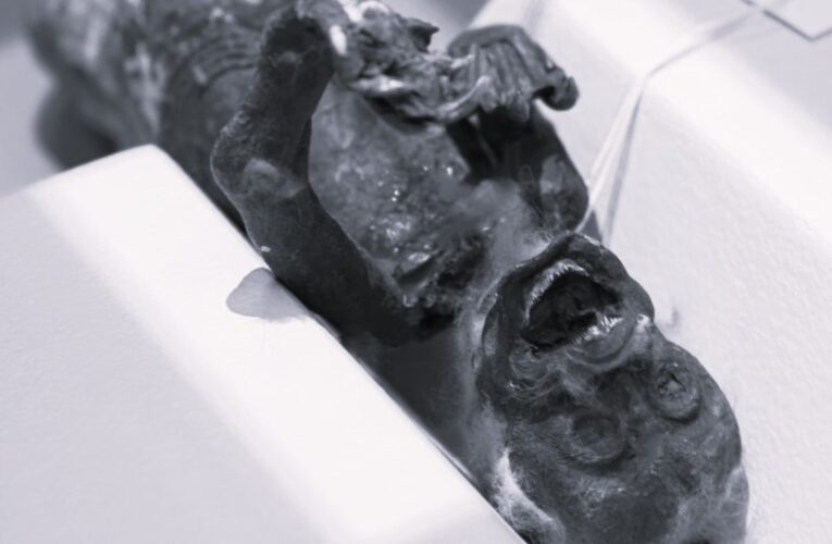 Macabre Secrets Unveiled: Scans Reveal Gruesome Composition of Mummified ‘Fiji Mermaid’ from Japan