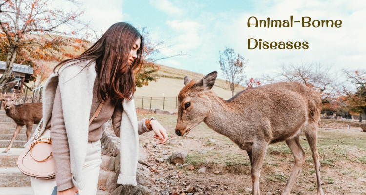 Animal Borne Diseases