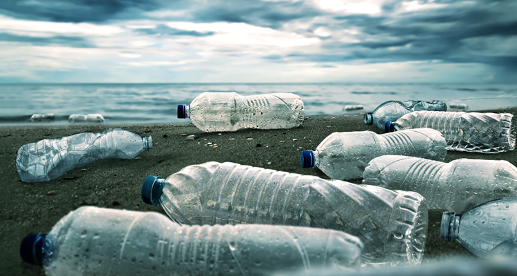 Urgent Call for Global Plastic Treaty at Busan Talks #PlasticPollution