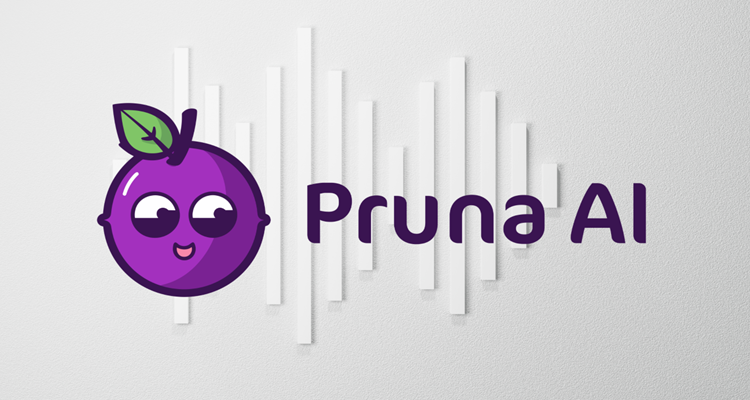 Pruna AI