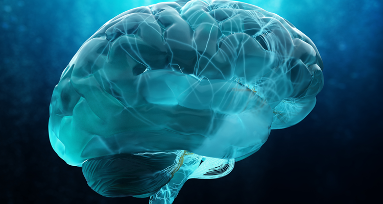 Brain Consciousness