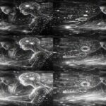 Collaboration with AI in the future