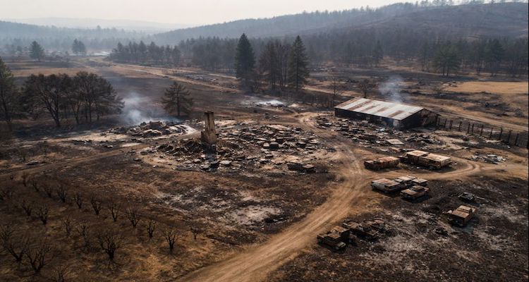 Aftermath of the South Obenchain Fire