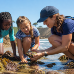 Exploring tidepools by the shore