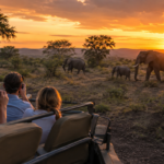 Safari at sunset with elephants