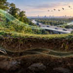 GPS-tracked wildlife moving through an ecological corridor connecting fragmented habitats